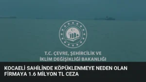 Kocaeli Sahilinde Köpüklenmeye Neden Olan Firmaya 1.6 Milyon TL Ceza