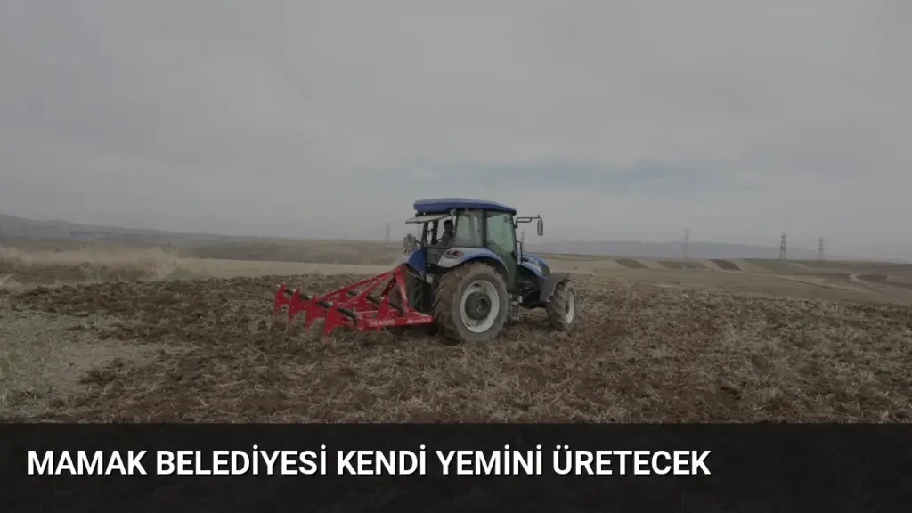 Mamak Belediyesi Kendi Yemini Üretecek