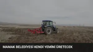 Mamak Belediyesi Kendi Yemini Üretecek