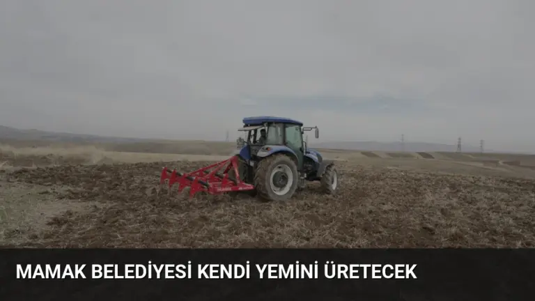 Mamak Belediyesi Kendi Yemini Üretecek